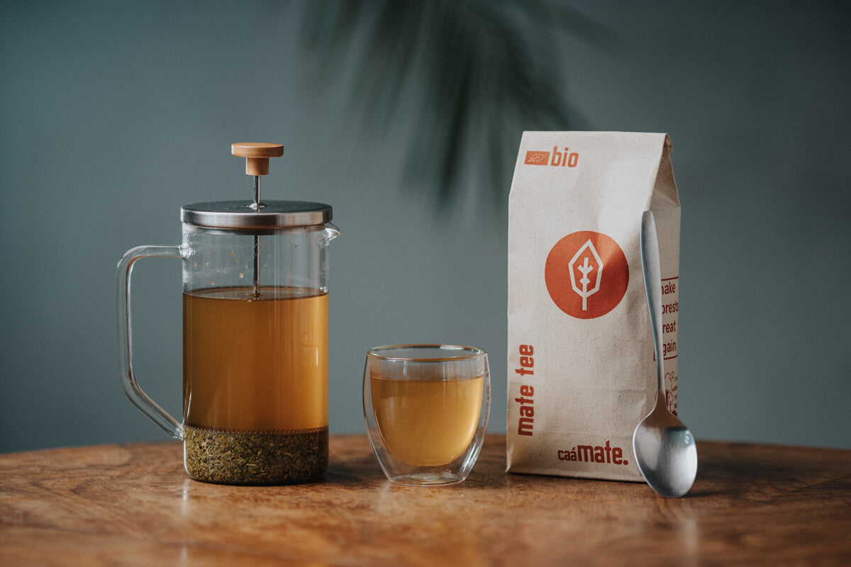 French press caamate Mate Tee aufgegossen