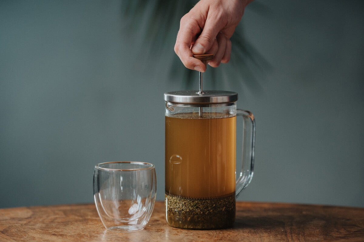 Nun wird die Mate in der French Press zusammen gepresst.