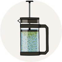 French Press die Ziehzeit
