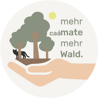 Symbolgrafik: Eine Hand hält einen Wald mit Bäumen und Jaguar – mehr caámate, mehr Wald.